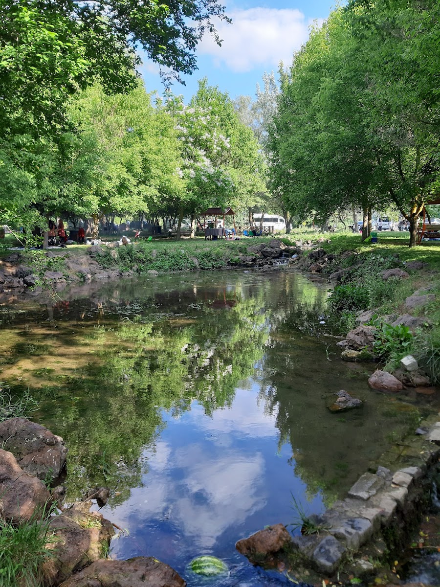 Türbün Mesire Yeri — fotoğraf 1
