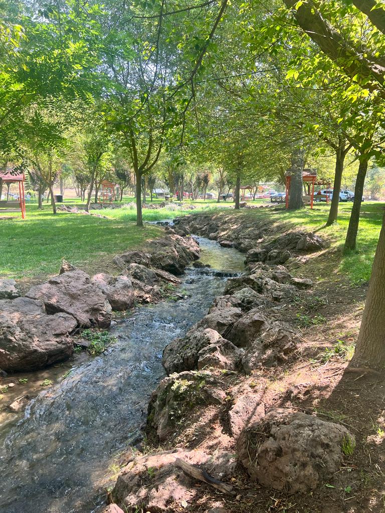 Türbün Mesire Yeri — fotoğraf 2