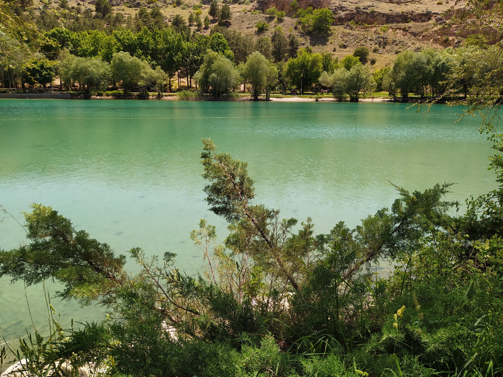 Turgut Özal Tabiat Parkı — fotoğraf 1