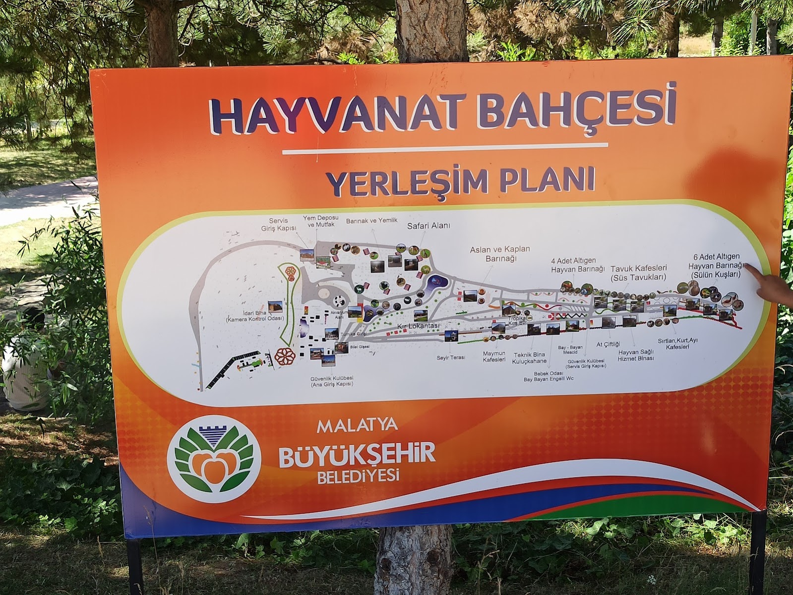 Turgut Özal Tabiat Parkı — fotoğraf 4