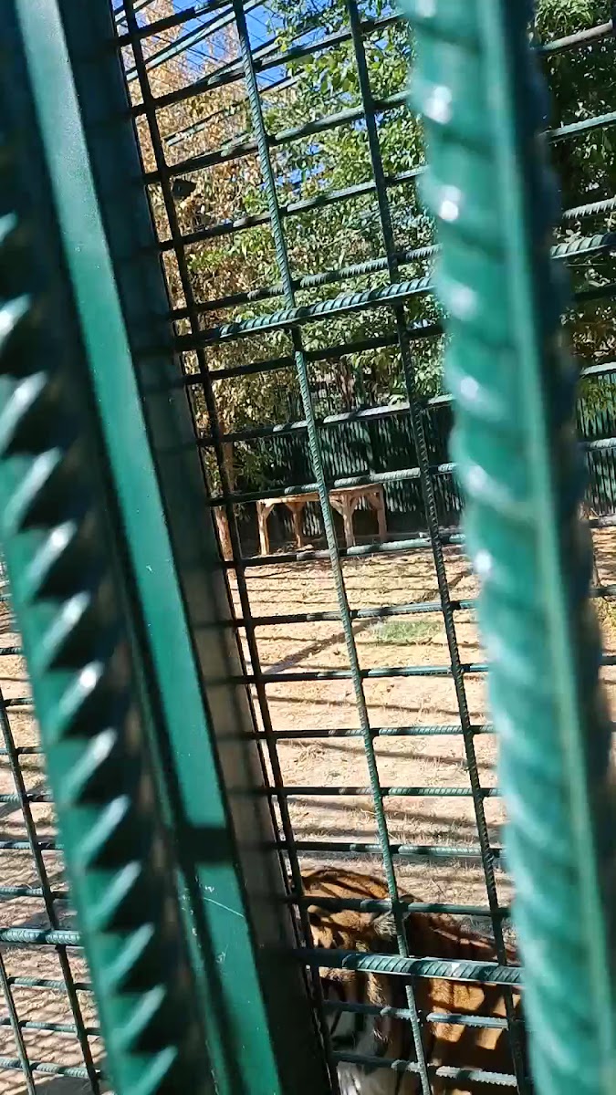 Turgut Özal Tabiat Parkı — fotoğraf 5