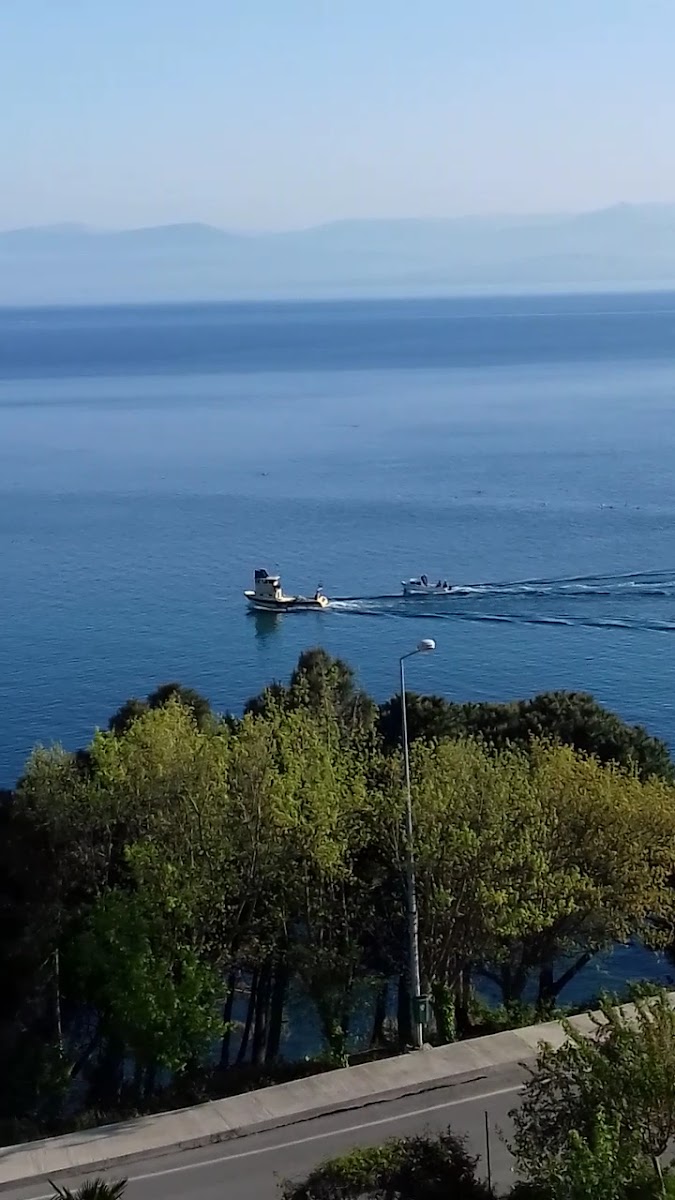 Turhan Pansiyon — fotoğraf 6