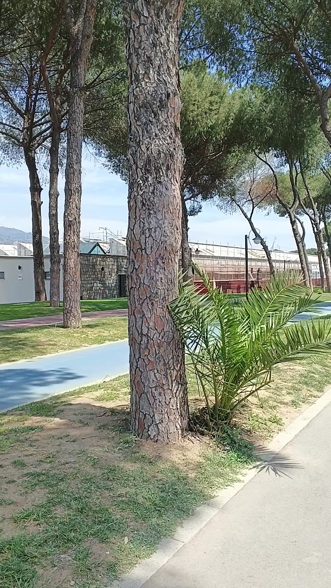 Turistik Park — fotoğraf 3