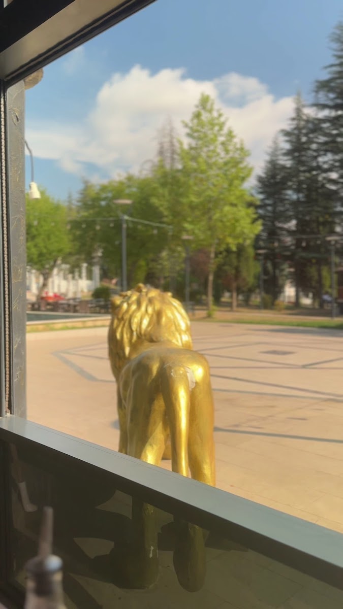 Türk Sofrası — fotoğraf 3