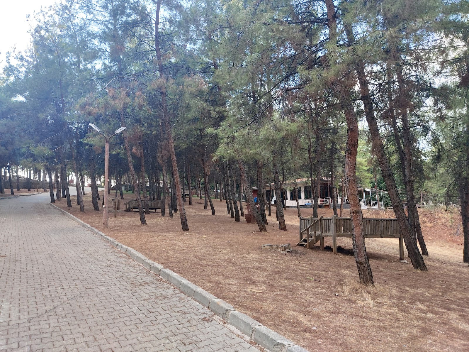 Türkoğlu Mesire Alanı — photo 2