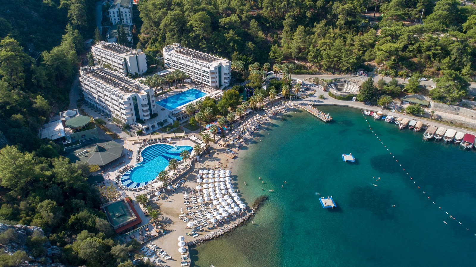 Turunç — fotoğraf