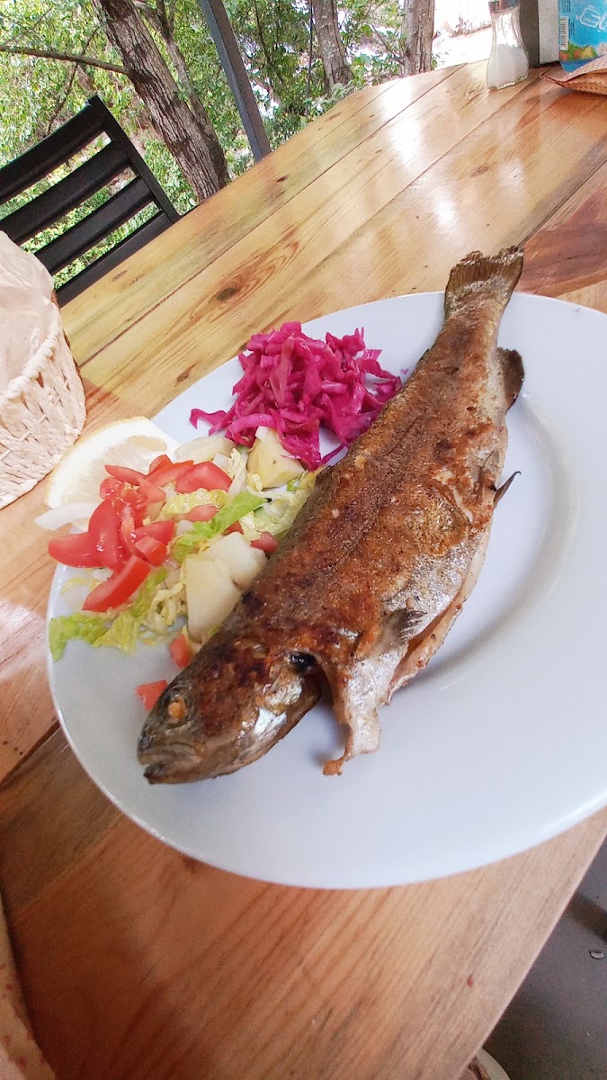 Uçansu Restoran-Kafe Muhtarın Yeri — photo 2