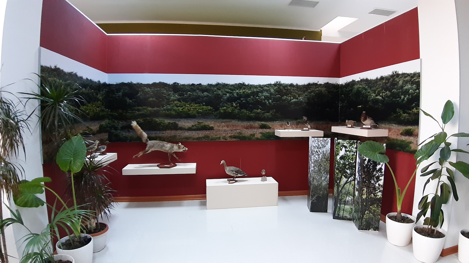 Ucar rayon Tarix-diyarşünaslıq muzeyi — photo