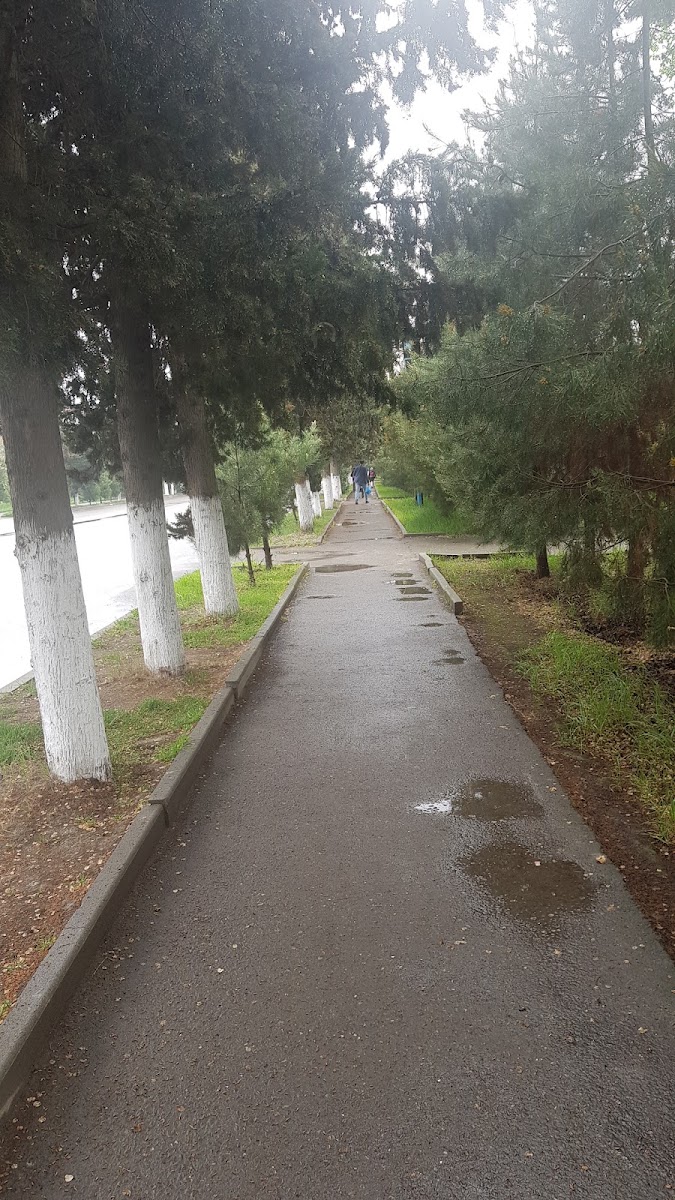 Ucar — photo