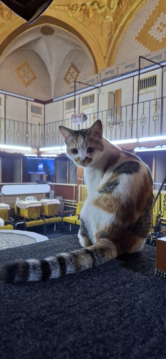 Ufuk Baklava Kayseri — fotoğraf 2