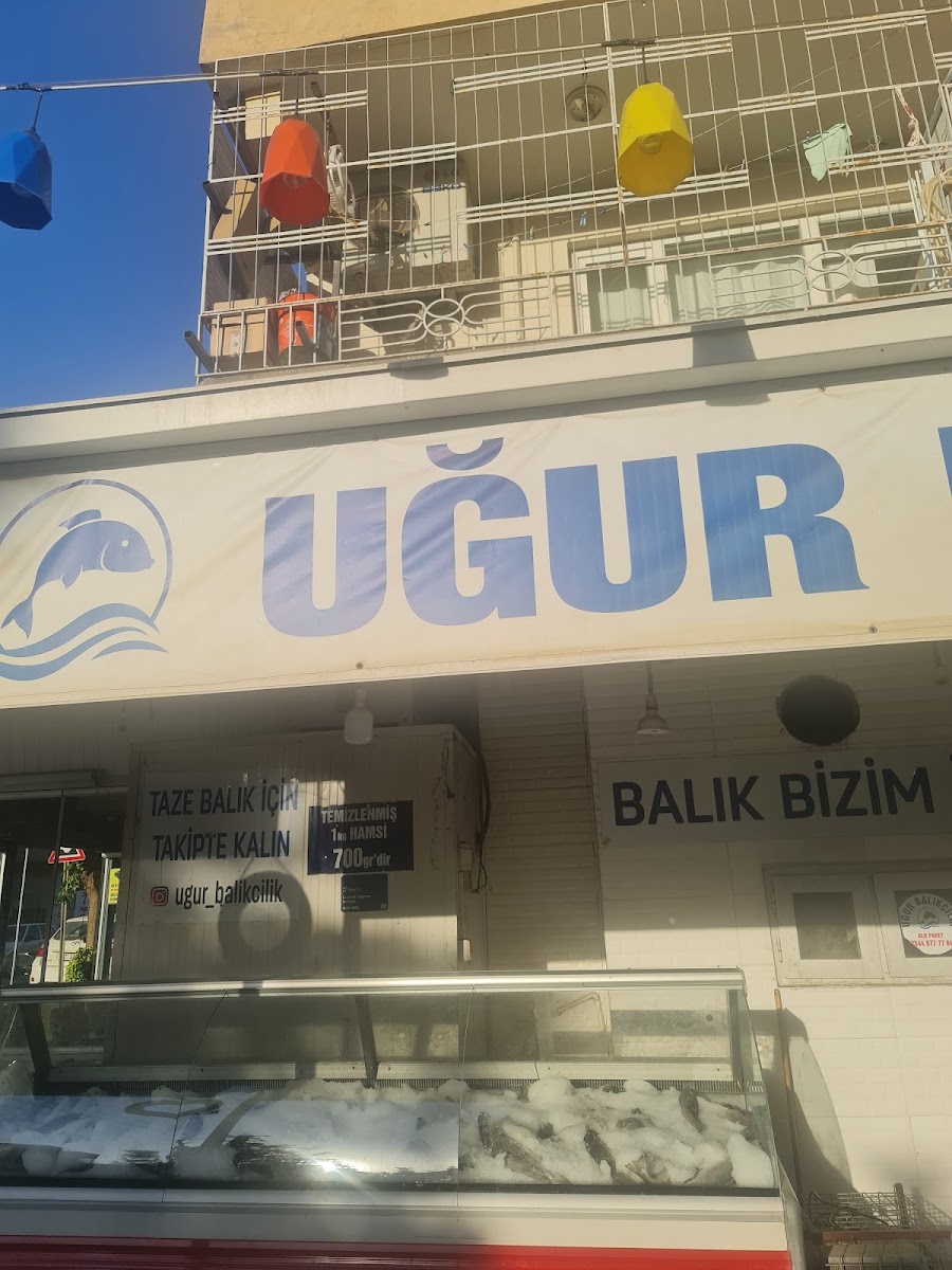Uğur Balıkçılık — fotoğraf 2