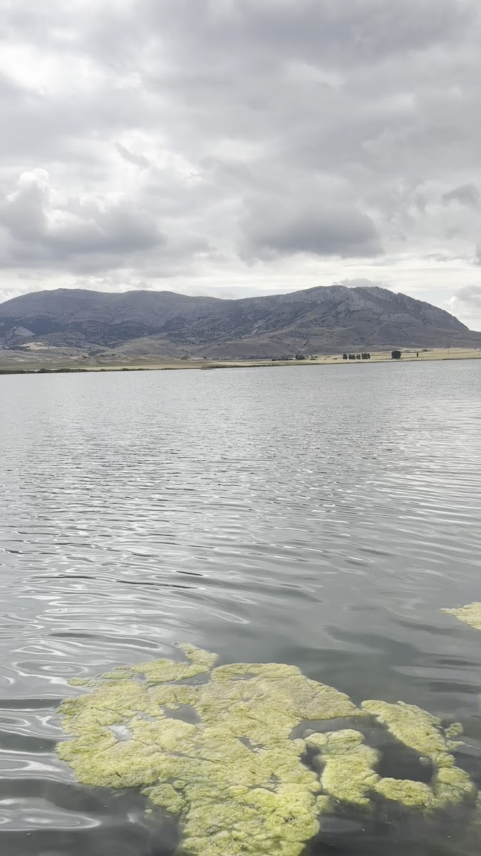 Ulaş Gölü — photo 3