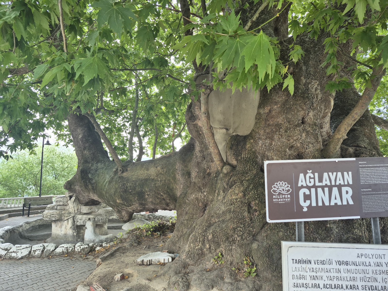 Ulubat Gölü — photo 2