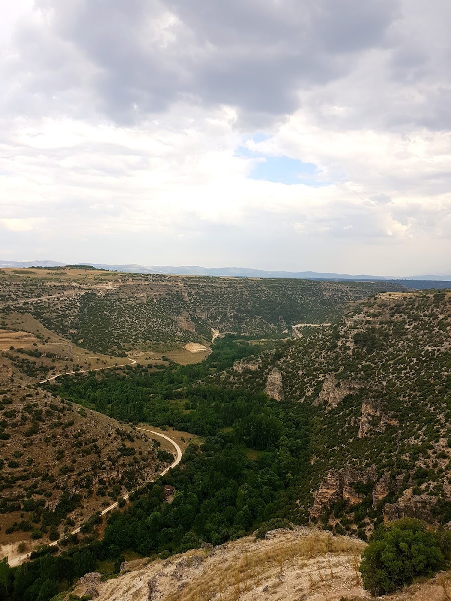 Ulubey Çamlığı — fotoğraf