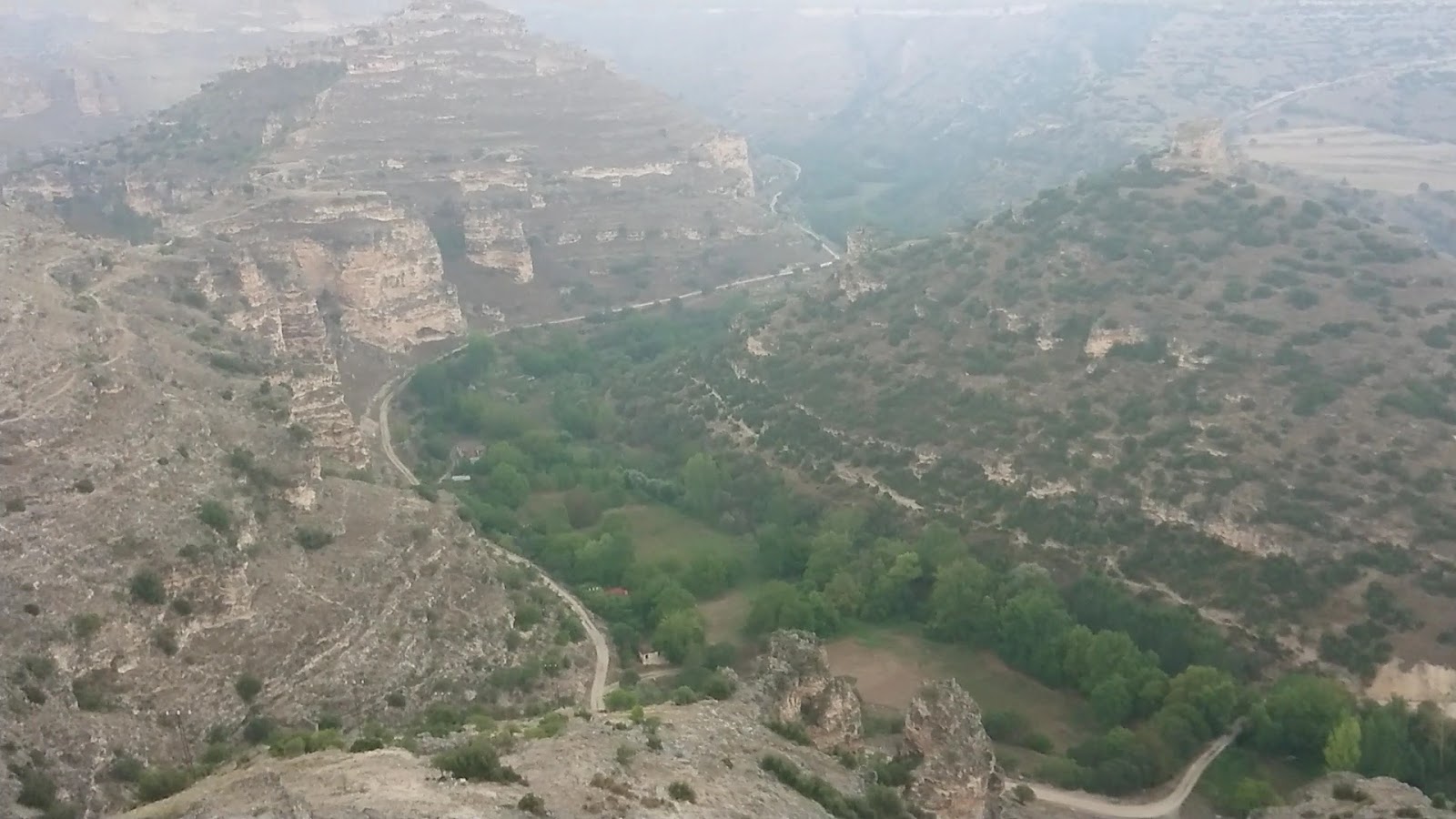 Ulubey Çamlığı — fotoğraf 2