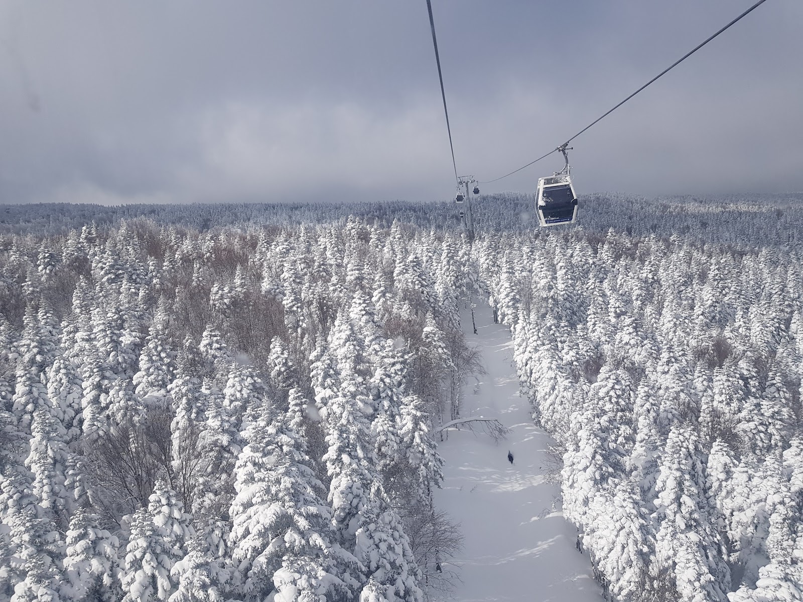 Uludağ Milli Parkı — fotoğraf 1