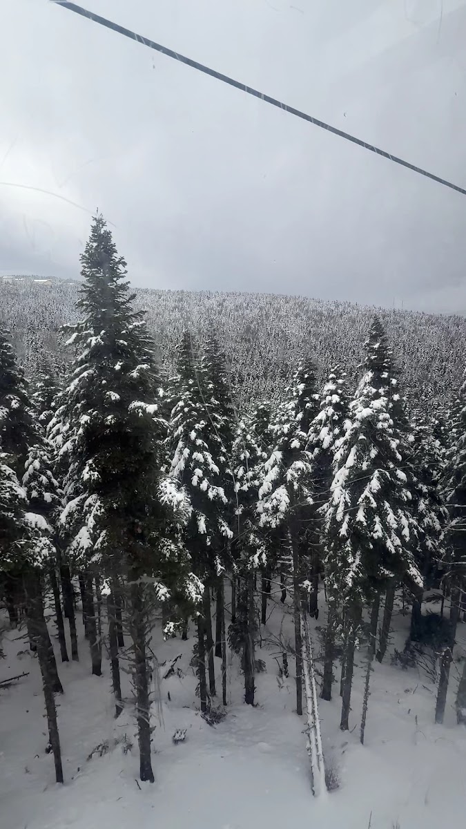 Uludağ Milli Parkı — fotoğraf 2