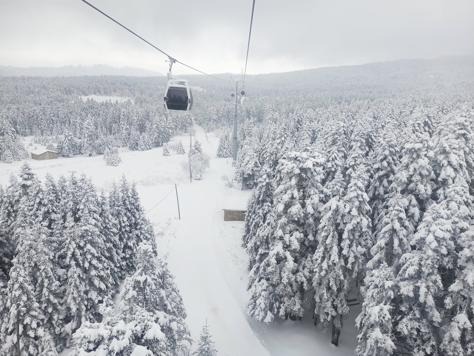 Uludağ Milli Parkı — fotoğraf 4