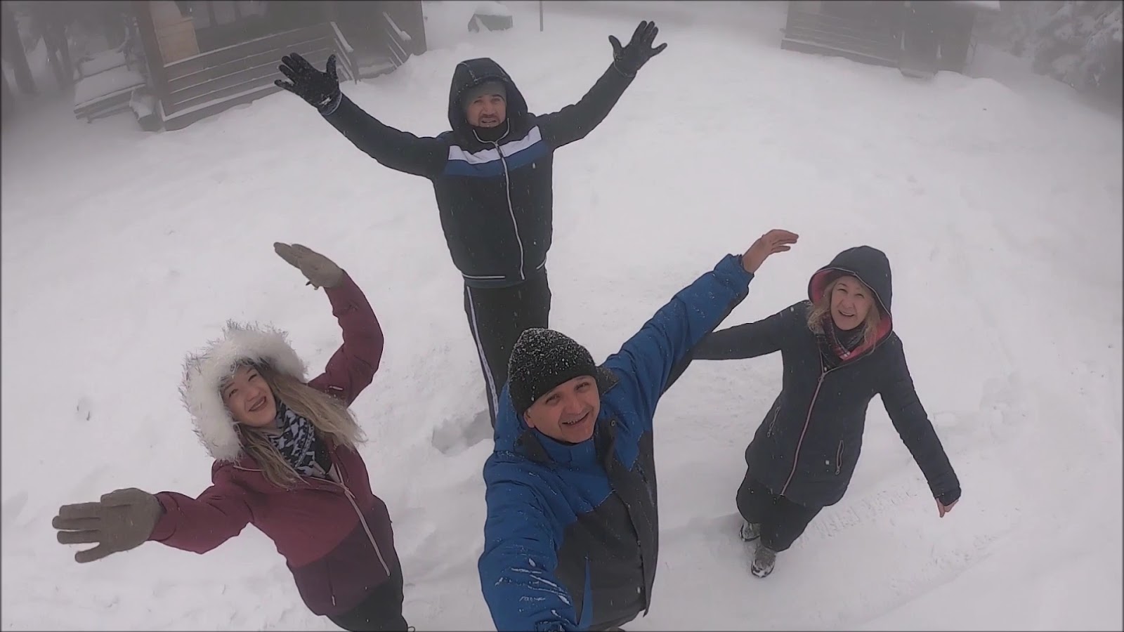 Uludağ sarıalan — fotoğraf 3