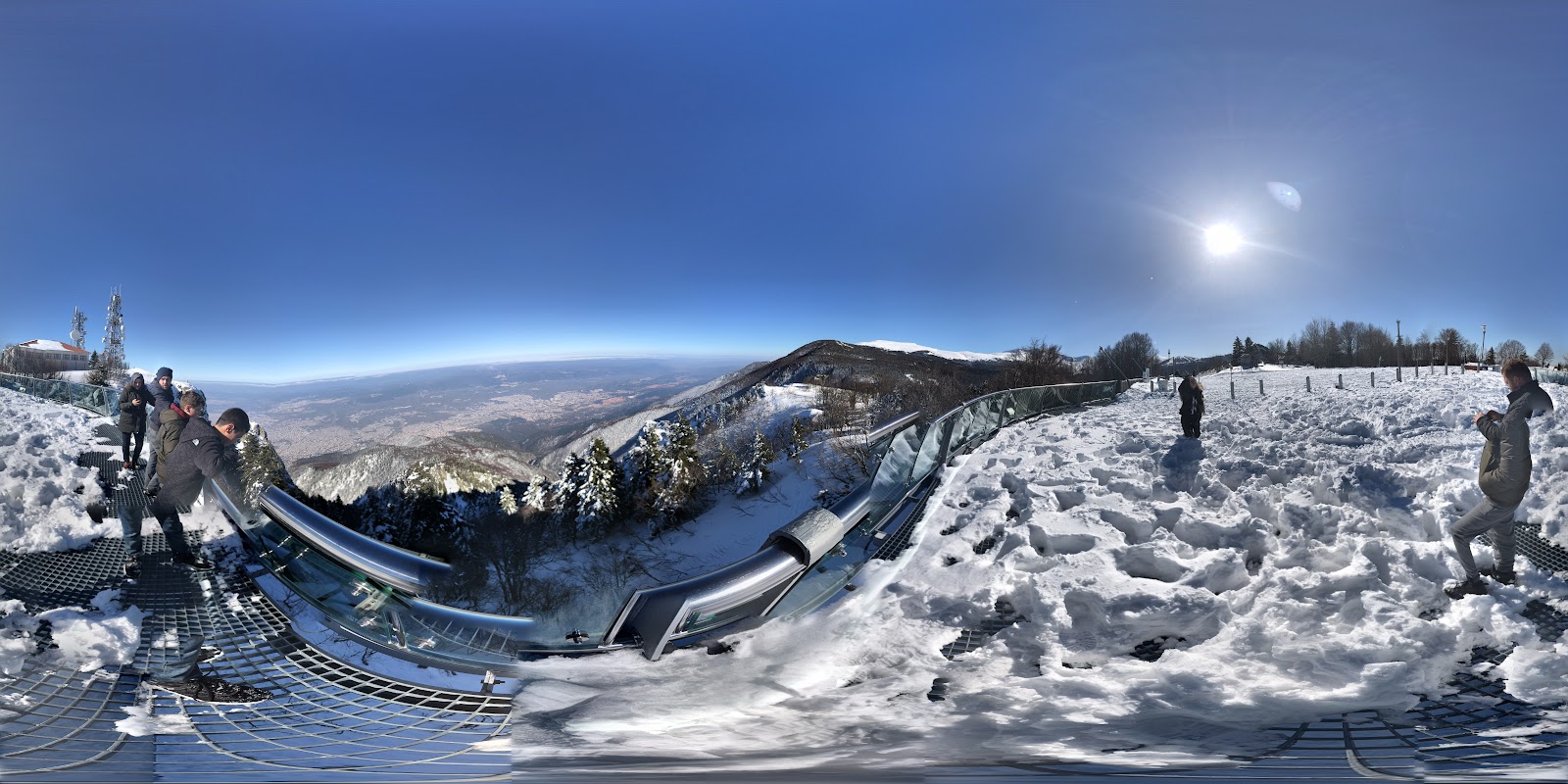 Uludağ sarıalan — fotoğraf 5