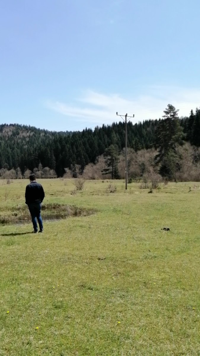 ULUYAYLA — fotoğraf 3