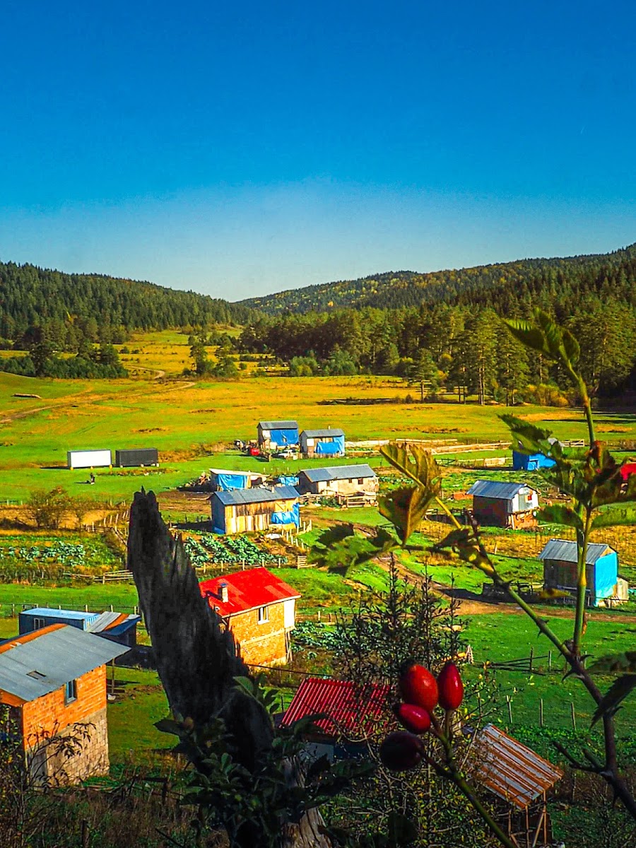 ULUYAYLA — fotoğraf 4