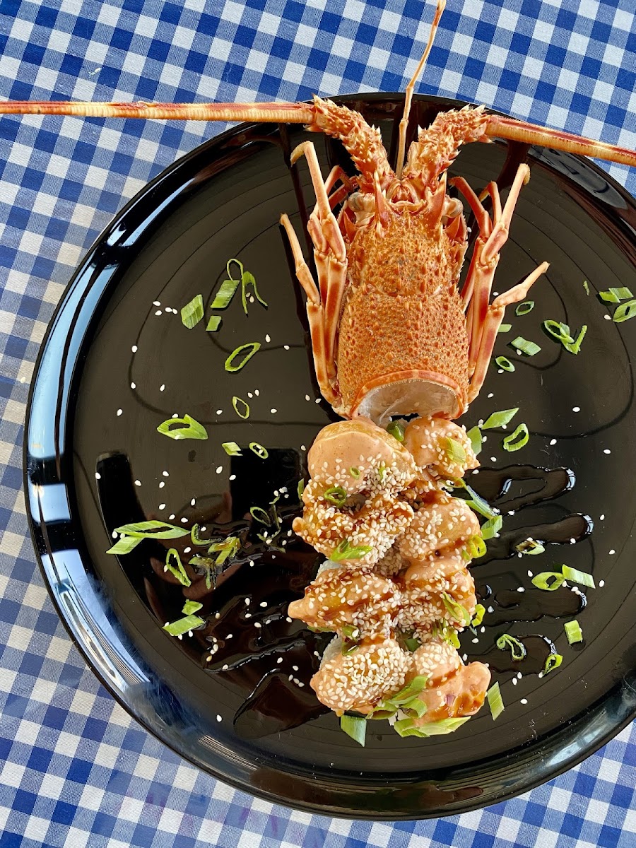 Ünsal Balık — fotoğraf 7