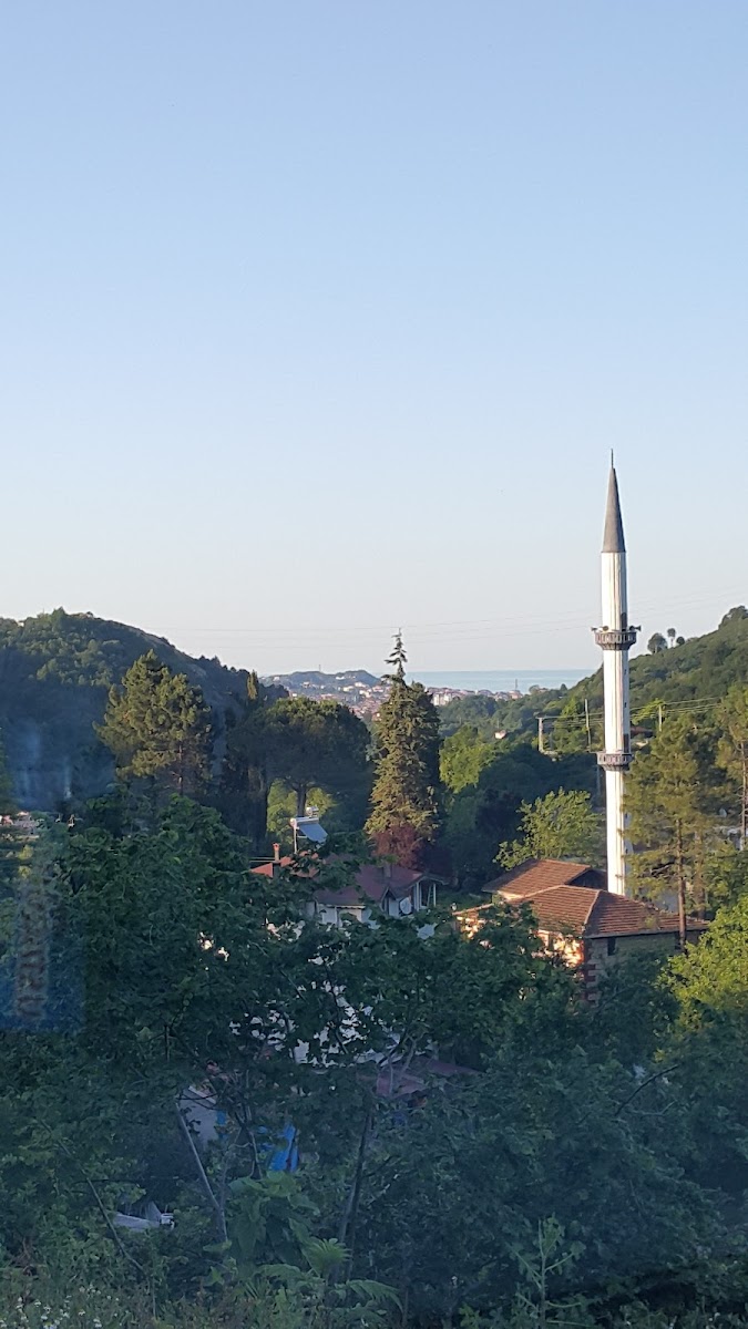 Kale — fotoğraf