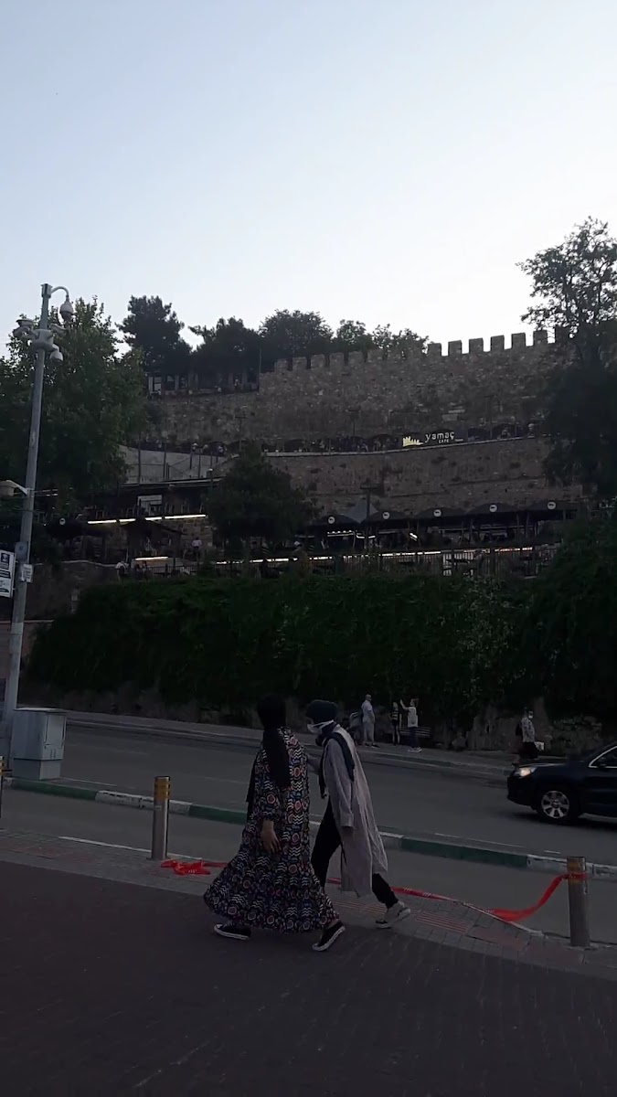 Kale — fotoğraf 2