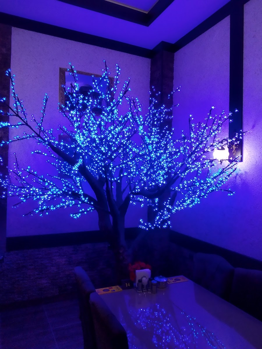 Urfa Ailevi Restoranı — photo 7