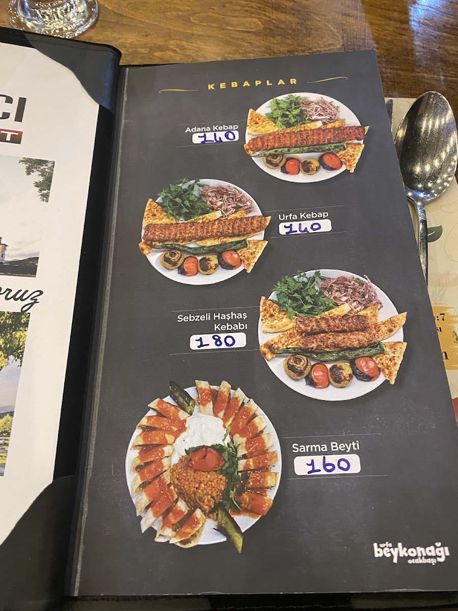 URFA BEYKONAĞI OCAKBAŞI 2 — fotoğraf 2