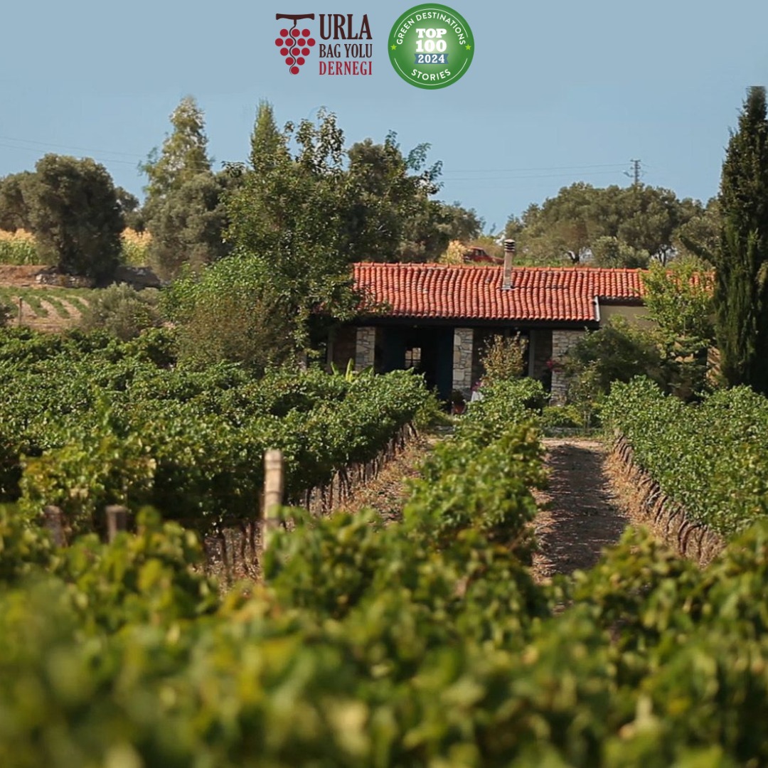 Urlice Vineyards — photo 5