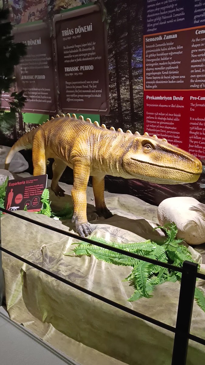 Üsküdar Bilim Merkezi — fotoğraf 2