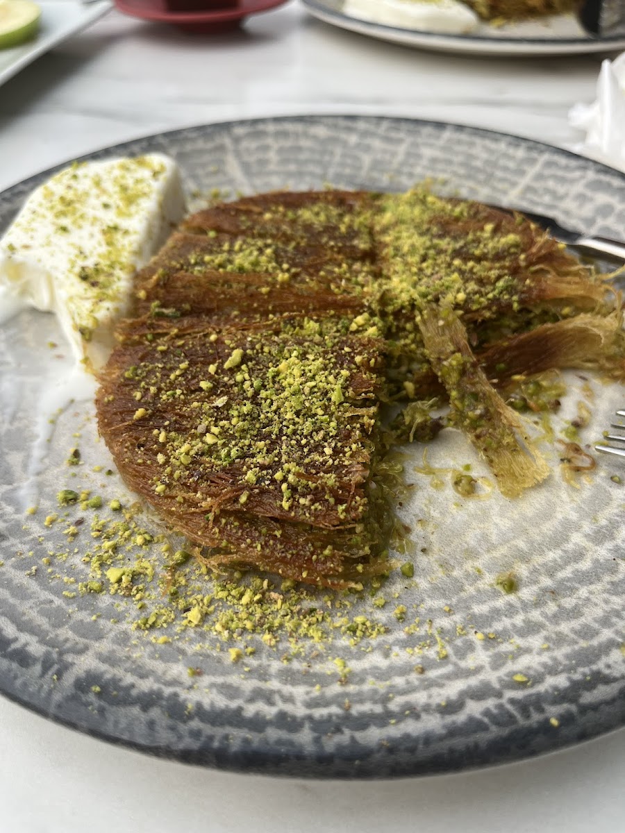 USTA ELLER KÜNEFE — fotoğraf 2