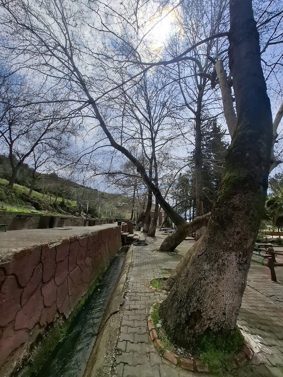 Uyuzluk Mesire Alani — fotoğraf 2
