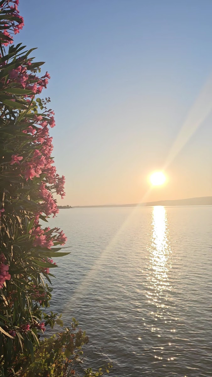 Uzunkum Park — fotoğraf 2