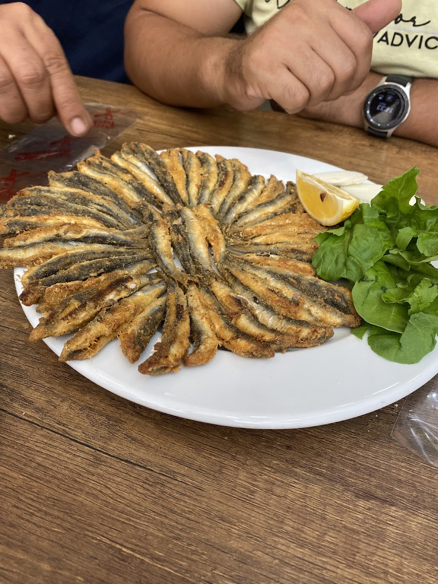 Uzunoğlu 57 — fotoğraf 4