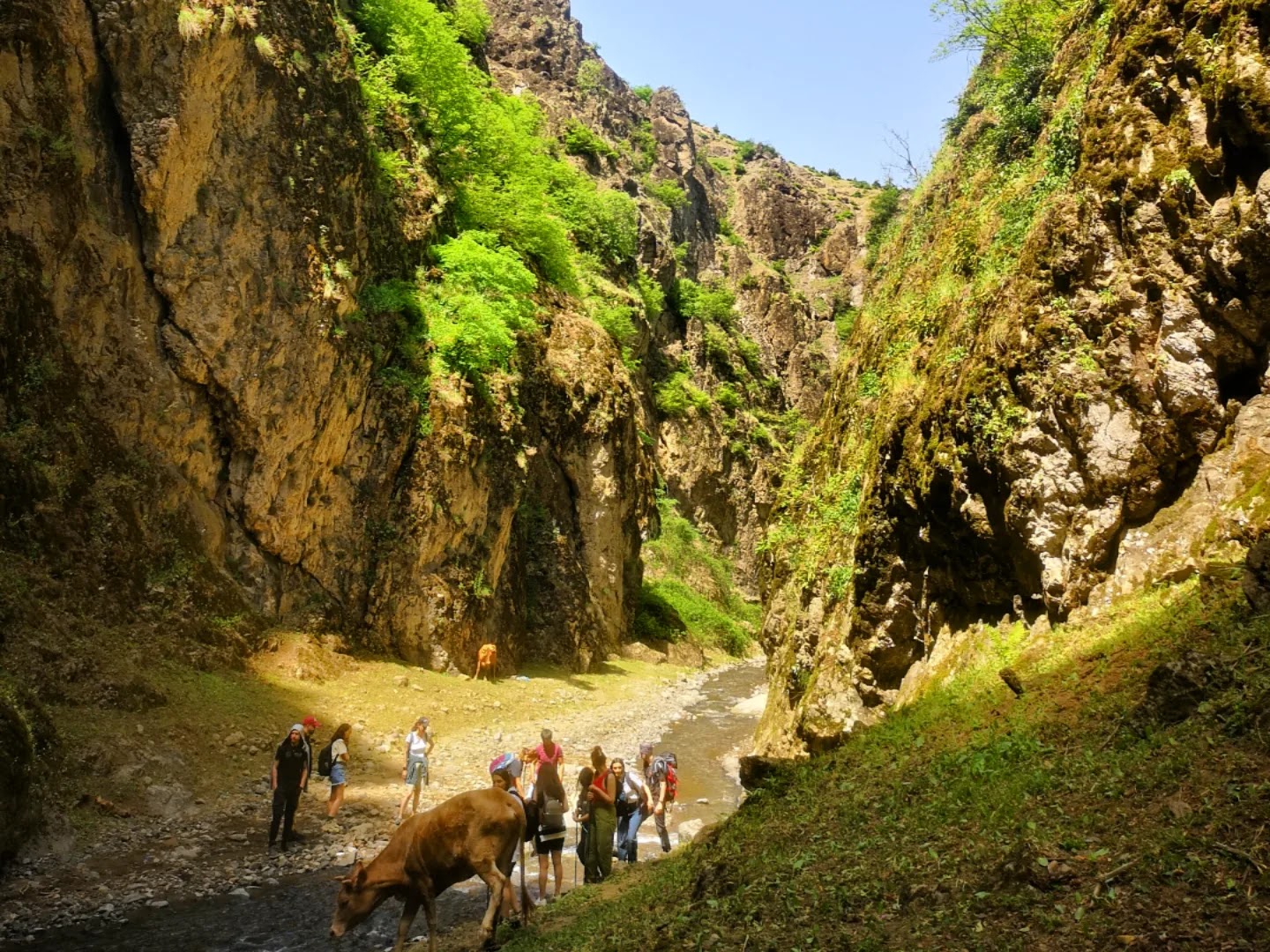 V683+R8 Nisəqala kanyonu — photo