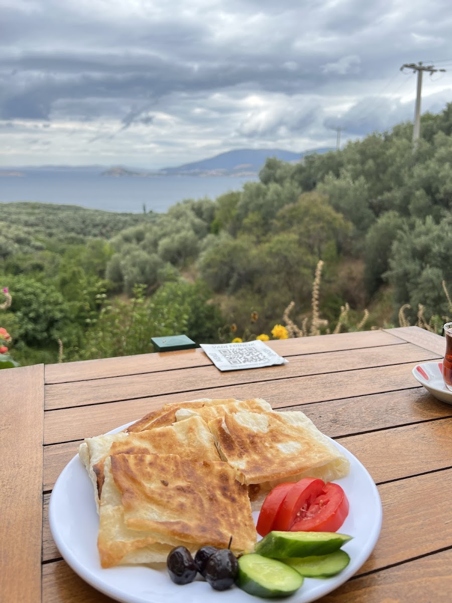 VADİ EDİNCİK — fotoğraf 5