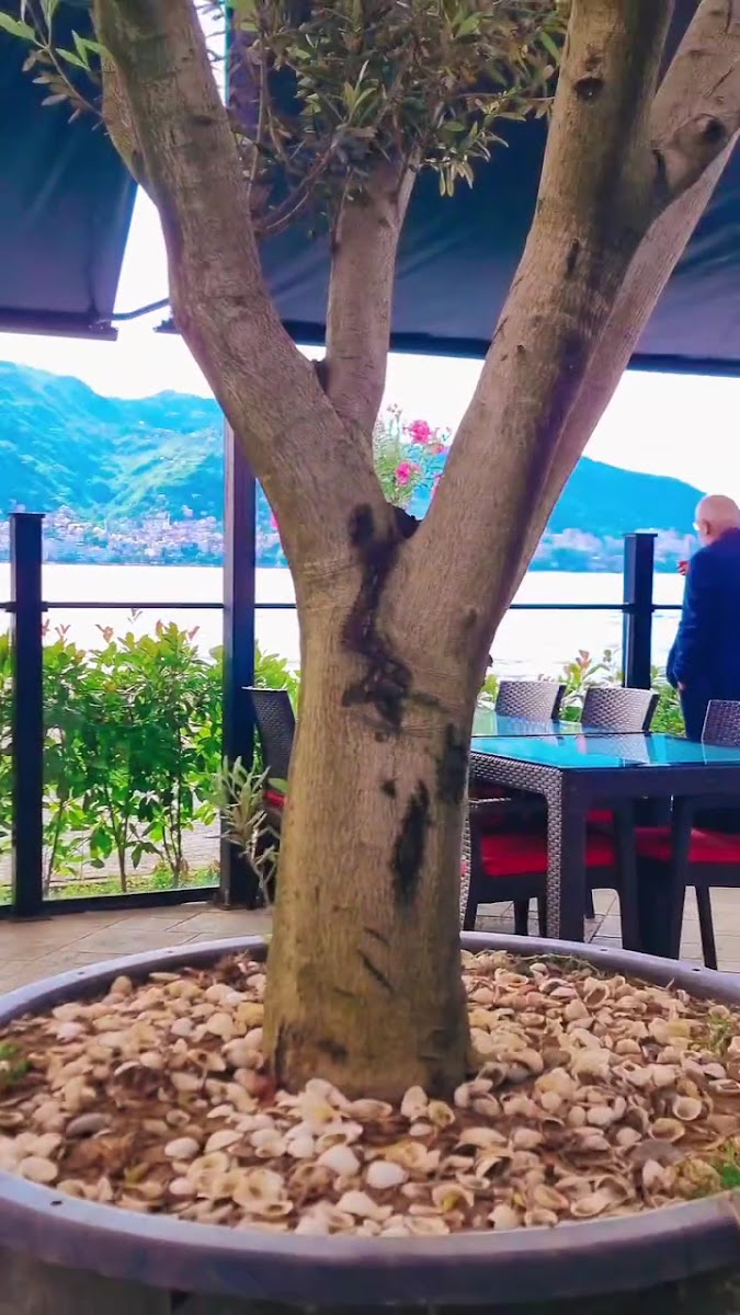 Vagon Cafe Ordu — fotoğraf 3