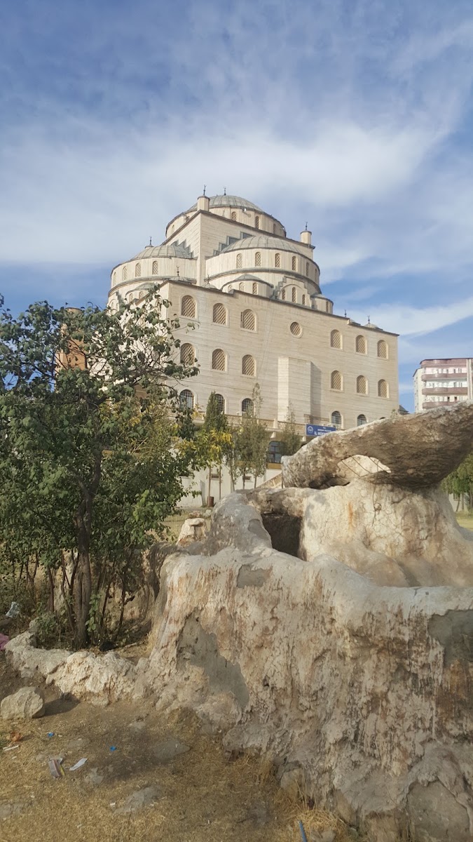 Vali Kamil Acun Külliye Cami (Çifte Minare) — fotoğraf 2
