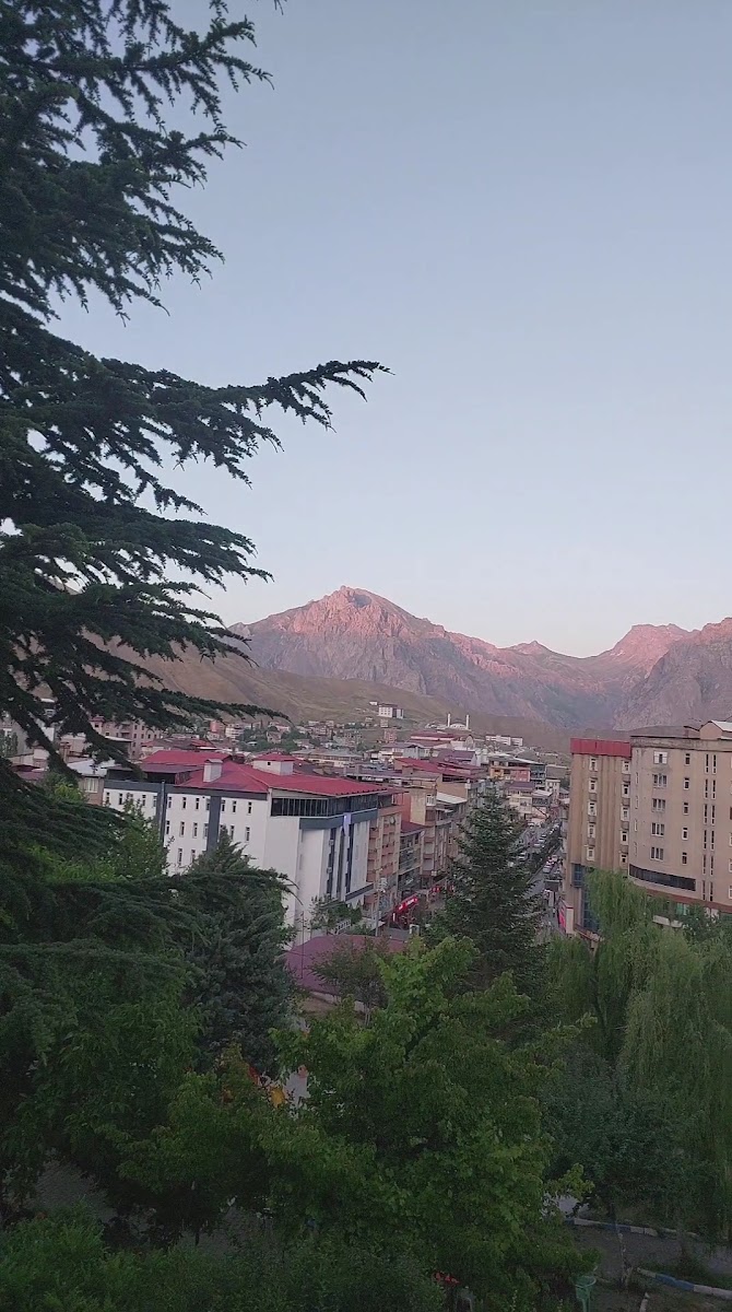 Valilik Parkı — fotoğraf 3