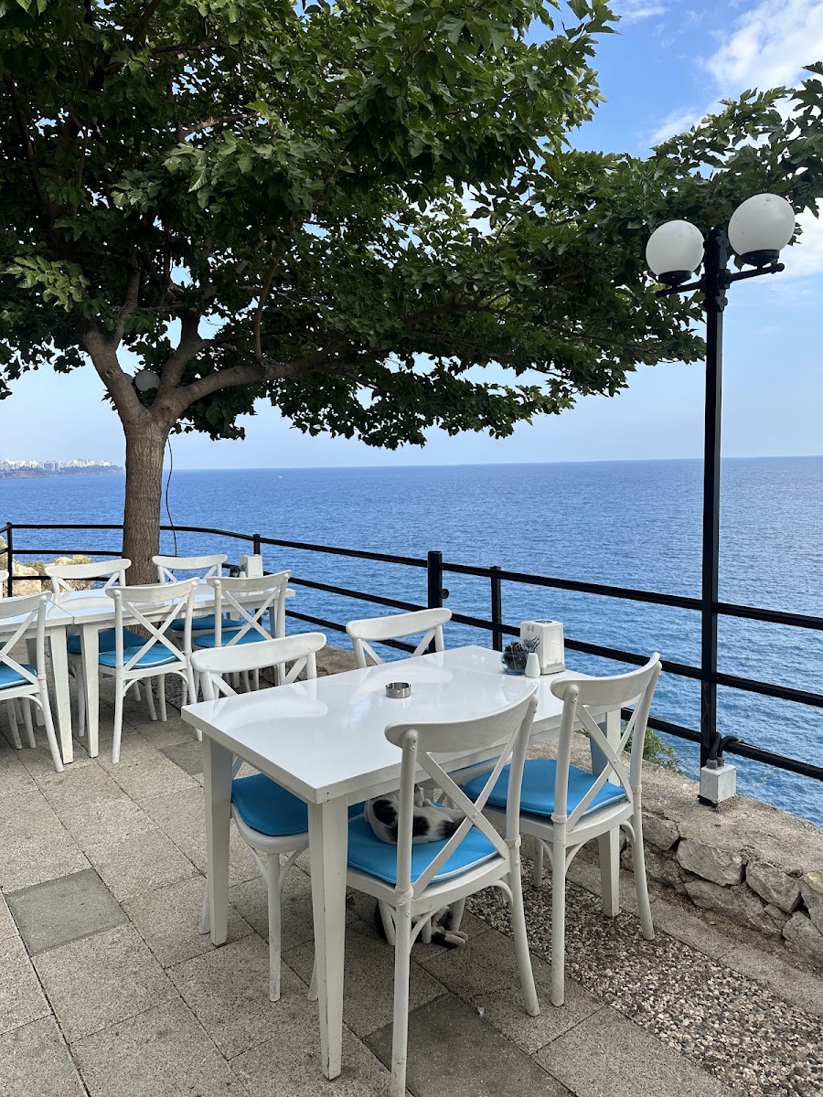Varyant Restaurant & Cafe — photo