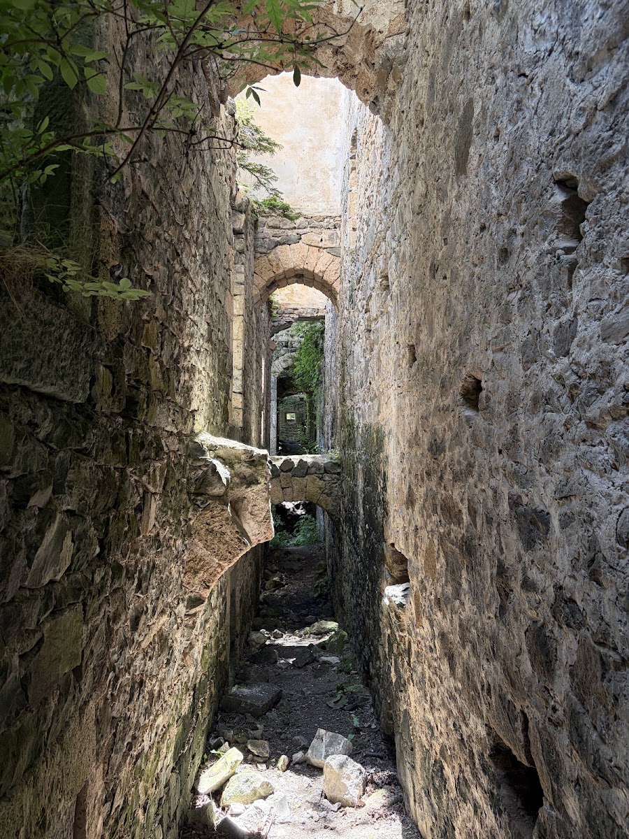 Vazelon Manastırı — photo 3