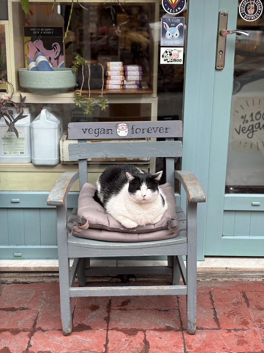Vegan Dükkan — fotoğraf 2