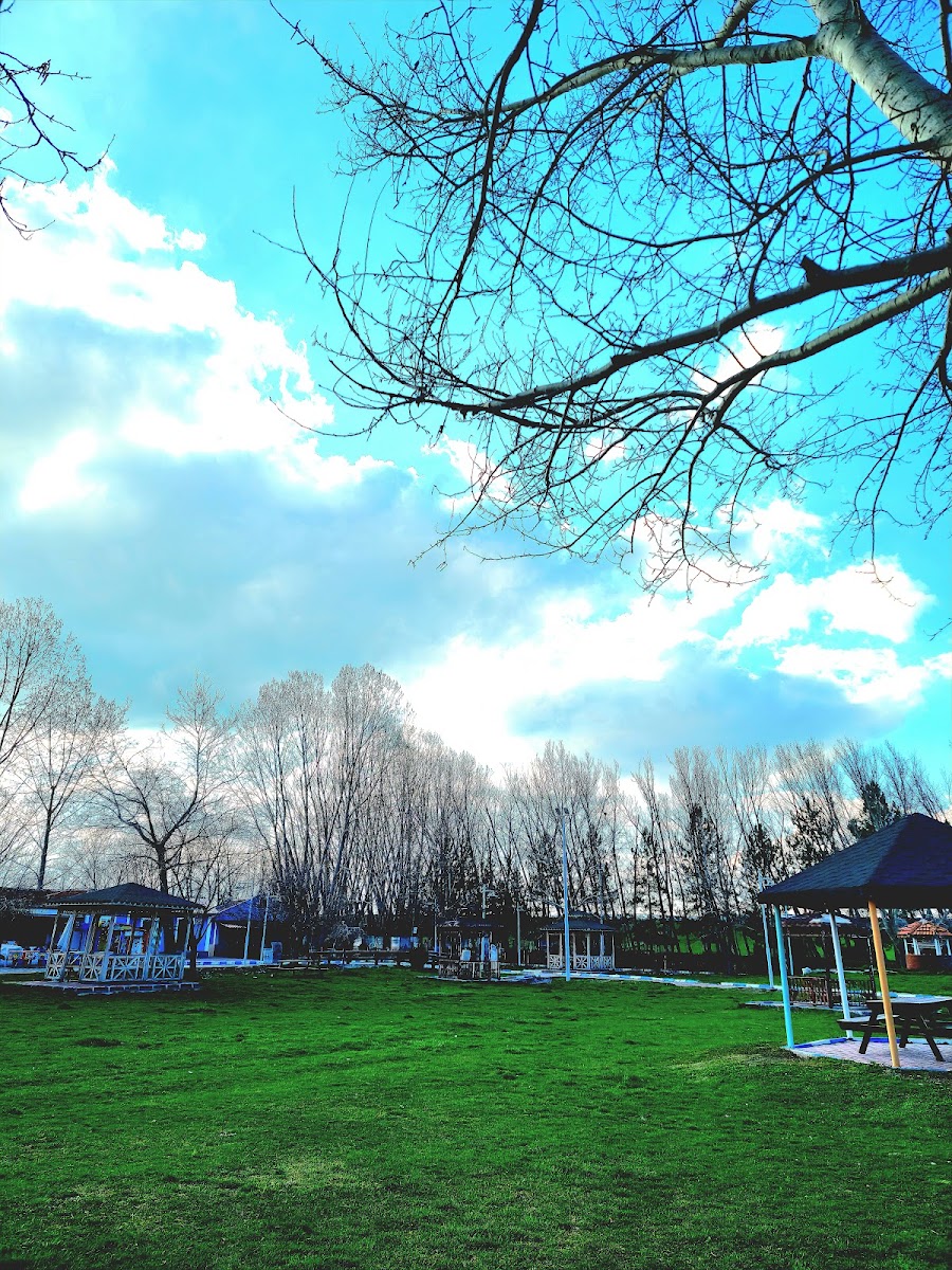 Veli Çayırı — fotoğraf 2