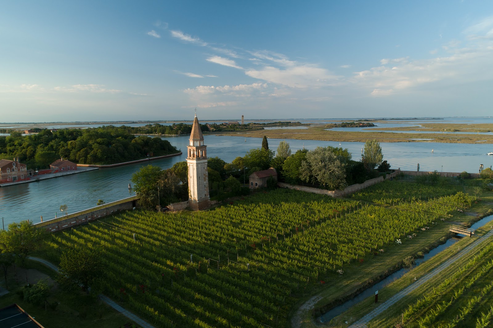 Venissa — photo 10