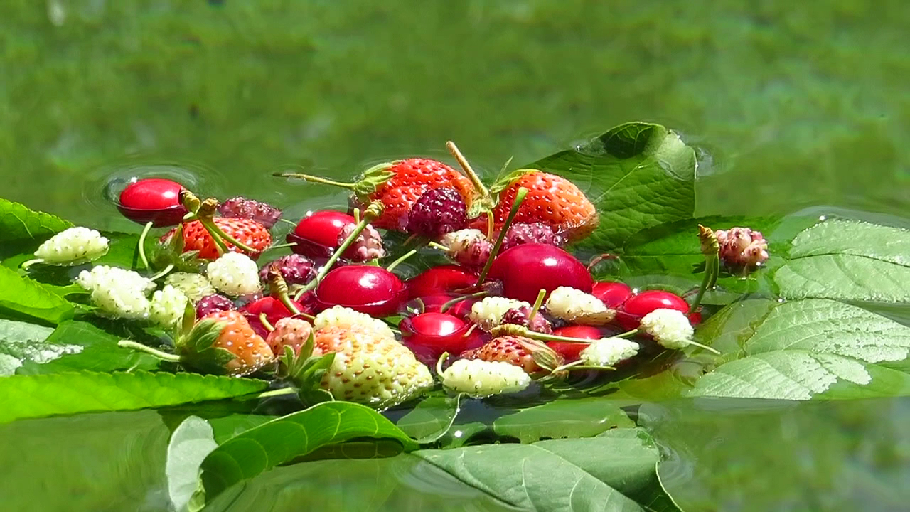 Verroz Yürüyüş Parkı — fotoğraf 3