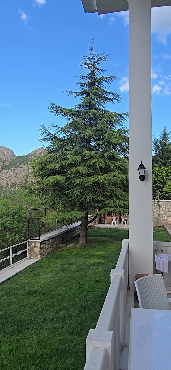 Villa Amesia & Garden — fotoğraf 4