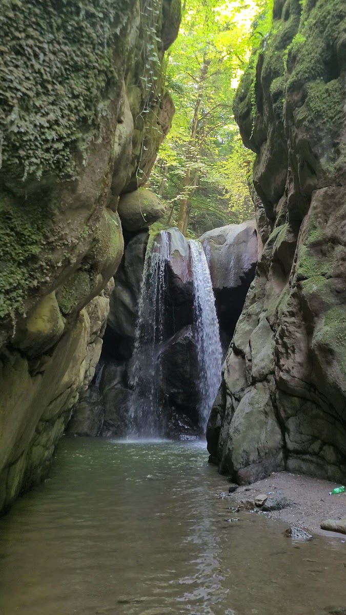 Vizezemin kendi — photo 4